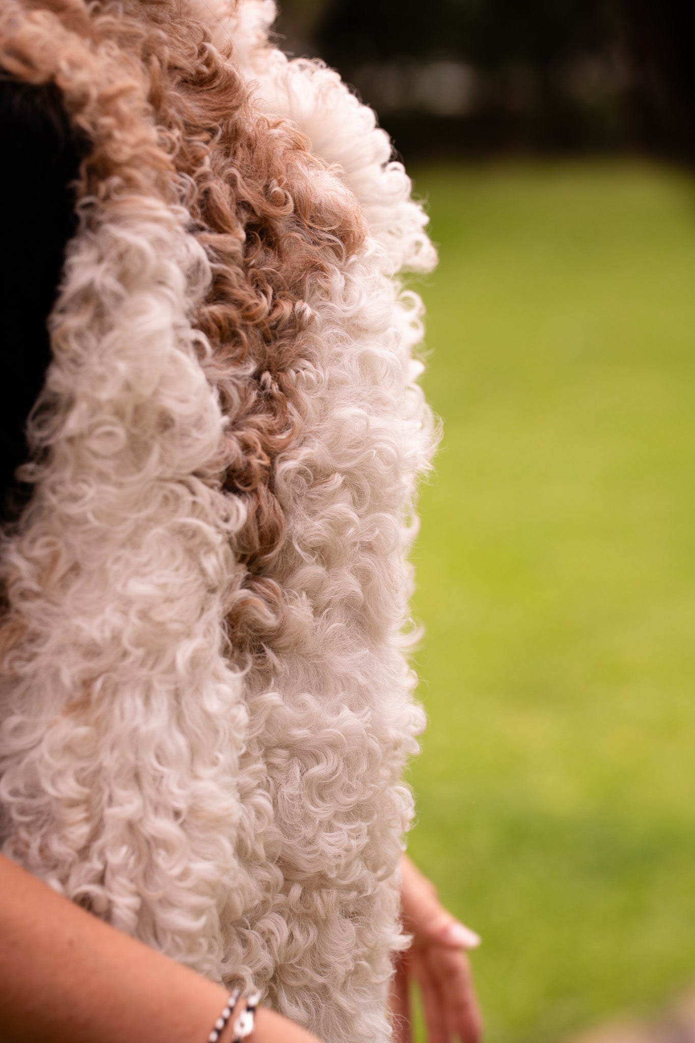 Gilet agnello - Pellicceria Stephanie